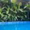 Suite Tierra - Piscina, BBQ, Botánico, Terraza, The Garden House
