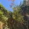 Spacious and Luxurious Villa - Saidia