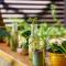 Terraza Catedral Hostel - 莱昂