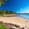 Tristania Little cove