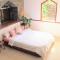 Beachfront Authentic Mauritian Villa - Grande Gaube