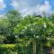 Khaolak Forest Resort - Khao Lak