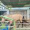 Lafa Park Syariah Rengas Bandung Cikarang Redpartner