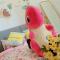 Legoland walk 3min D'Pristine Rejoice Suite 2B2R 8pax Lakeview - Nusajaya
