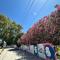 Eja Mare Guest House