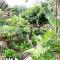 Ban Kaew Villas - Bophut