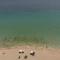 Casa Tribi a 250 mt dalla spiaggia di Specchiarica di San Pietro in Bevagna
