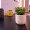 Perafita Yellow House - EcoHost