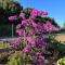 Agriturismo Il Giardino Degli Olivi Appartamenti