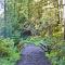 Steps to Beach and Amazing Ocean Views - Miramar Home - Half Moon Bay