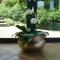 Country House Barone DAsolo