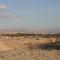 Desert Rose