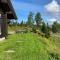 Cozy family cabin with stunning location on Golsfjellet - Golsfjellet