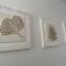 Studio Hibiscus Anse des rochers Saint Francois - 圣弗朗索瓦