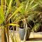 The Wave Oasis SC B&B
