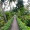 Abad Turtle Beach