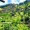 Laida Holiday Homestay