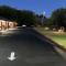 Jumping Frog Motel