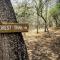 Chumbi Bush House