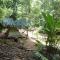 Cool Waters Jungle Camping