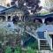 Maringa House