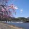 Hotel Arashiyama - Kioto