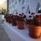 Agorastos Luxury Living