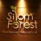 Silom Forest Exclusive Residence