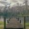 Home plus RV on beautiful Lake - Лутц