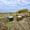 Beachfront Caravans