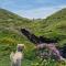 Orchard Cottage with a Private Pool and EV point - Bideford