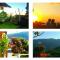 Bendesa Mas Homestay