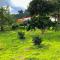 Finca el troya - Tapartó
