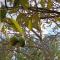 Glamping Entre Nopales, Villa de Leyva
