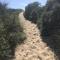 Duinstrand Burgh-Haamstede
