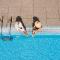 Four Points by Sheraton Sunny Beach