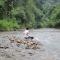 Rinte Green Village & Bukit Lawang Jungle Trekking