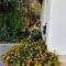 Villa Mulberry - Kyrenia North Cyprus