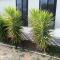 Budget Ceduna Homestay