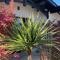 Hôtel particulier - Les lodges du Bassin d'Arcachon- Petit-déjeuner sur demande- Prestations haut de gamme - 居让梅斯特拉