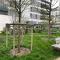 Nice flat with balcony Near Paris - OG 24 - 吕埃尔-马尔迈松