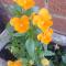 Monk Ensuites - Towcester