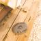 Tente Glamping nature et océan, Rogil