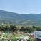 Symphony - Pirot