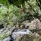 Cosy Farmstay Jasmeeruls Bayt Tuvurara, Savusavu - 萨武萨武
