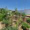Sunny villa with private pool in Chiclana de la Frontera