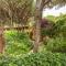 Appartamento Pinus