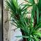 Rare appartement en front de mer 4BLION65 - 乐巴凯尔斯