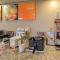 Comfort Inn & Suites at Dollywood Lane
