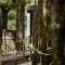Kanopea Forest Lodge